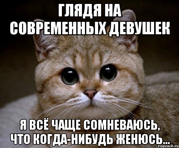 ГЛЯДЯ НА СОВРЕМЕННЫХ ДЕВУШЕК Я ВСЁ ЧАЩЕ СОМНЕВАЮСЬ, ЧТО КОГДА-НИБУДЬ ЖЕНЮСЬ..., Мем Пидрила Ебаная