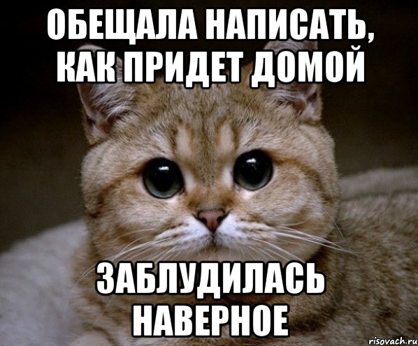 Обещала написать, как придет домой Заблудилась наверное, Мем Пидрила Ебаная