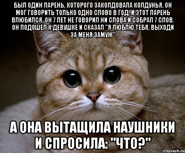 Был один парень, которого заколдовала колдунья. Он мог говорить только одно слово в год. И этот парень влюбился, он 7 лет не говорил ни слова и собрал 7 слов. Он подошел к девушке и сказал "Я люблю тебя, выходи за меня замуж" А онa вытащила наушники и спросила: "что?", Мем Пидрила Ебаная