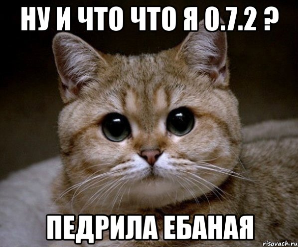 ну и что что я 0.7.2 ? Педрила ебаная, Мем Пидрила Ебаная