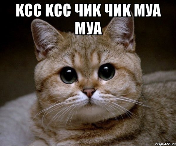 kcc kcc чиk чиk муа муа , Мем Пидрила Ебаная