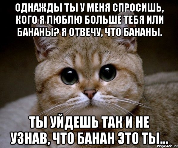 Однажды ты у меня спросишь, кого я люблю больше тебя или бананы? Я отвечу, что бананы. Ты уйдешь так и не узнав, что банан это ты..., Мем Пидрила Ебаная