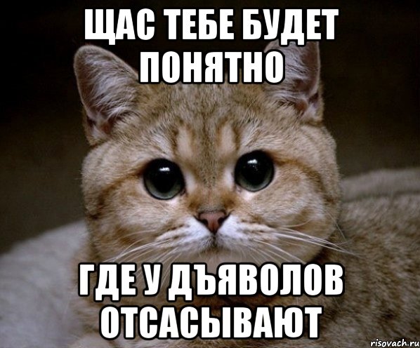 щас тебе будет понятно где у дъяволов отсасывают, Мем Пидрила Ебаная