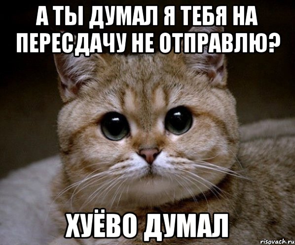 А ТЫ ДУМАЛ Я ТЕБЯ НА ПЕРЕСДАЧУ НЕ ОТПРАВЛЮ? ХУЁВО ДУМАЛ, Мем Пидрила Ебаная