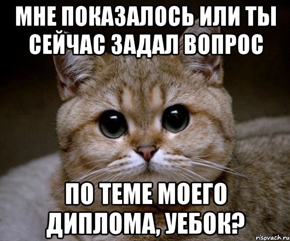 мне показалось или ты сейчас задал вопрос по теме моего диплома, уебок?, Мем Пидрила Ебаная