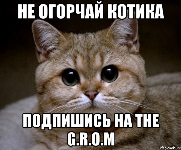 Не огорчай котика Подпишись на The G.R.O.M, Мем Пидрила Ебаная
