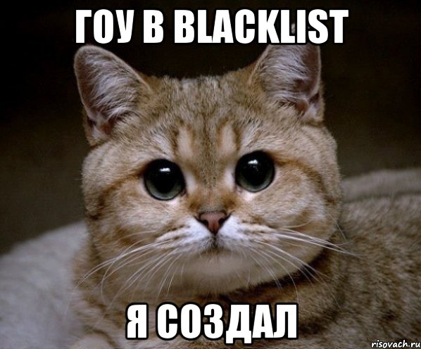 гоу в blacklist я создал, Мем Пидрила Ебаная