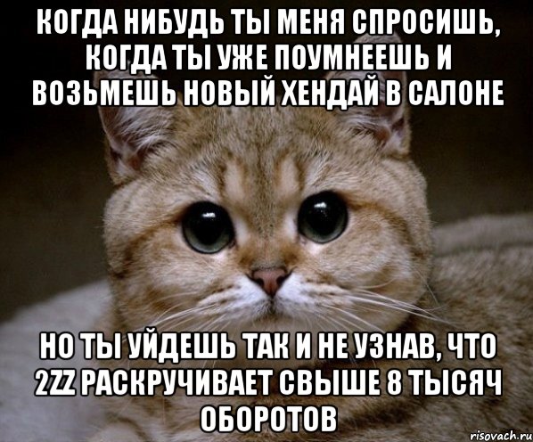 когда нибудь ты меня спросишь, когда ты уже поумнеешь и возьмешь новый хендай в салоне но ты уйдешь так и не узнав, что 2zz раскручивает свыше 8 тысяч оборотов, Мем Пидрила Ебаная