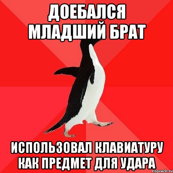 Доебался младший брат использовал клавиатуру как предмет для удара, Мем  социально-агрессивный пингвин