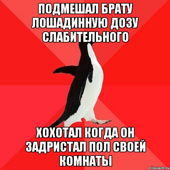 Подмешал брату лошадинную дозу слабительного Хохотал когда он задристал пол своей комнаты, Мем  социально-агрессивный пингвин