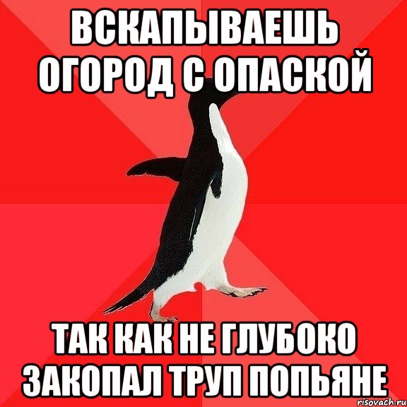 Вскапываешь огород с опаской Так как не глубоко закопал труп попьяне, Мем  социально-агрессивный пингвин