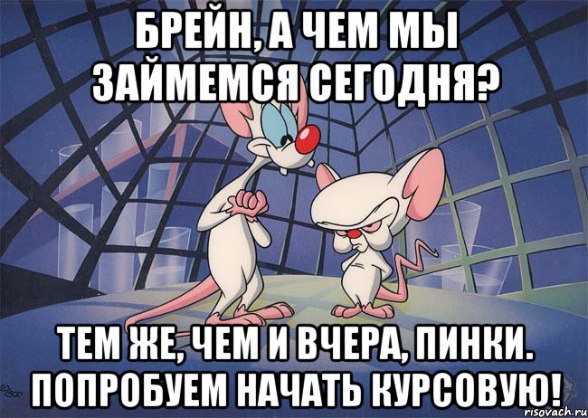 брейн, а чем мы займемся сегодня? тем же, чем и вчера, Пинки. Попробуем начать курсовую!, Мем ПИНКИ И БРЕЙН