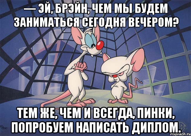 — Эй, Брэйн, чем мы будем заниматься сегодня вечером? Тем же, чем и всегда, Пинки, попробуем написать диплом.