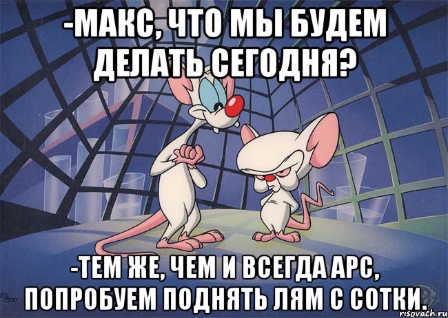 -Макс, что мы будем делать сегодня? -Тем же, чем и всегда Арс, попробуем поднять лям с сотки.