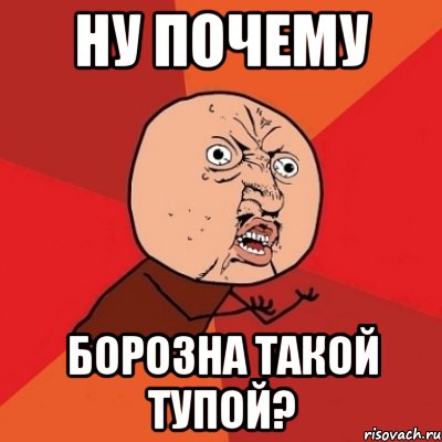 Ну почему Борозна такой тупой?, Мем Почему