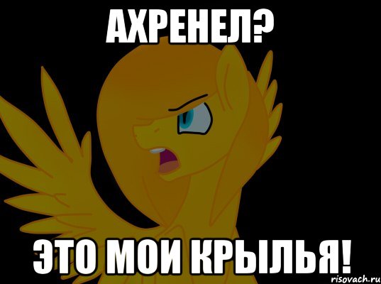 ахренел? это мои крылья!