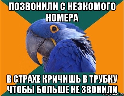 Позвонили с незкомого номера В страхе кричишь в трубку чтобы больше не звонили, Мем Попугай параноик