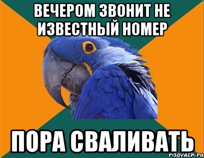 Вечером звонит не известный номер Пора сваливать, Мем Попугай параноик