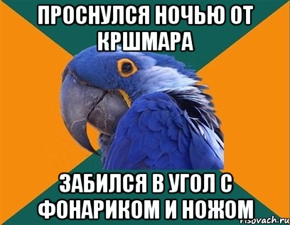 Проснулся ночью от кршмара Забился в угол с фонариком и ножом, Мем Попугай параноик