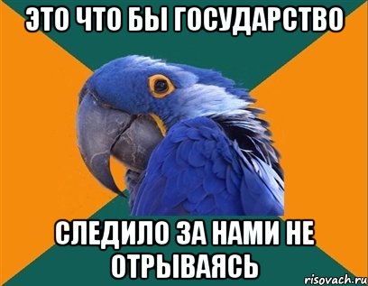 это что бы государство следило за нами не отрываясь, Мем Попугай параноик