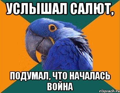 услышал салют, подумал, что началась война, Мем Попугай параноик