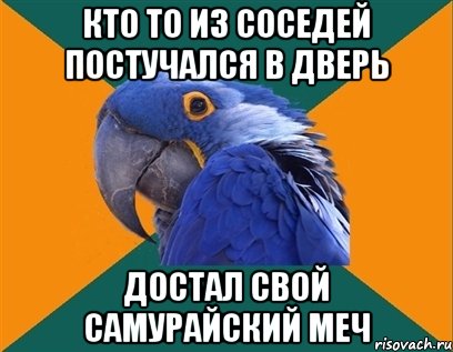 Кто то из соседей постучался в дверь Достал свой самурайский меч, Мем Попугай параноик