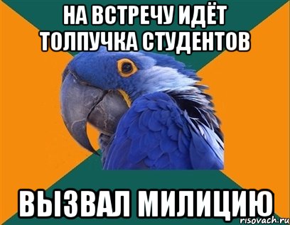 На встречу идёт толпучка студентов Вызвал милицию, Мем Попугай параноик