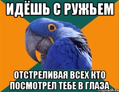 Идёшь с ружьем Отстреливая всех кто посмотрел тебе в глаза, Мем Попугай параноик