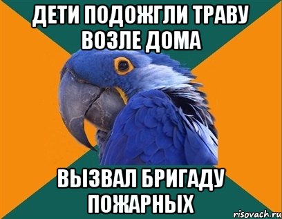 Дети подожгли траву возле дома Вызвал бригаду пожарных, Мем Попугай параноик