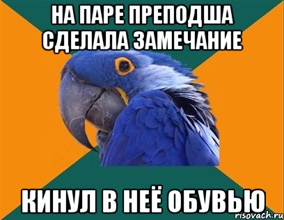 На паре преподша сделала замечание Кинул в неё обувью, Мем Попугай параноик