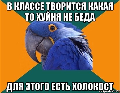 в классе творится какая то хуйня не беда ДЛЯ ЭТОГО ЕСТЬ ХОЛОКОСТ, Мем Попугай параноик