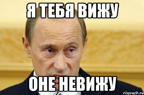 я тебя вижу оне невижу, Мем путин