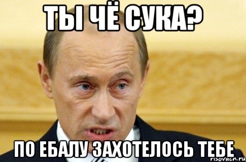 Ты чё сука? По ебалу захотелось тебе, Мем путин