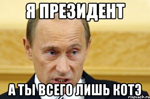 я президент а ты всего лишь котэ, Мем путин