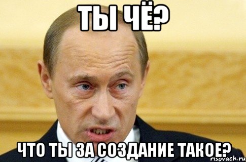 Ты чё? Что ты за создание такое?, Мем путин