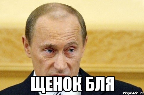  Щенок бля, Мем путин