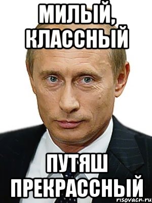 милый, классный Путяш прекрассный, Мем Путин