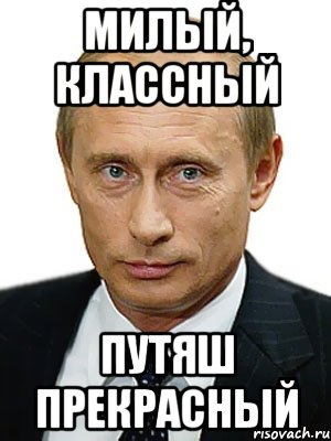 милый, классный Путяш прекрасный, Мем Путин