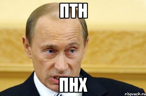 ПТН ПНХ, Мем путин