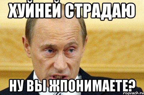 Хуйней страдаю Ну вы жпонимаете?, Мем путин