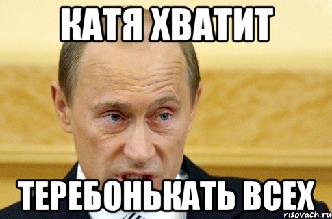 Катя хватит теребонькать всех, Мем путин