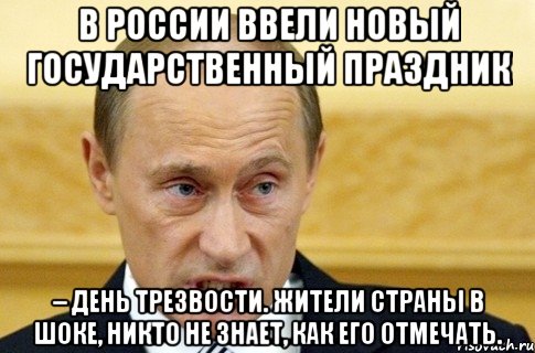 В России ввели новый государственный праздник – День трезвости. Жители страны в шоке, никто не знает, как его отмечать., Мем путин