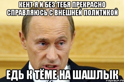 Кент я и без тебя прекрасно справляюсь с внешней политикой Едь к Тёме на шашлык, Мем путин