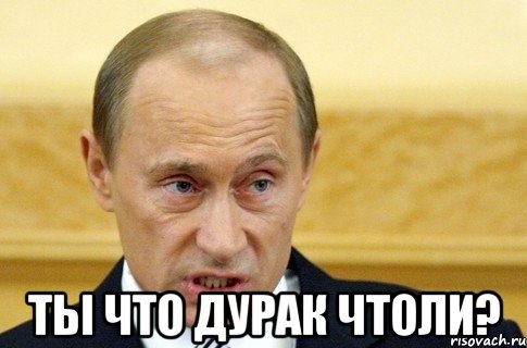  ТЫ ЧТО ДУРАК ЧТОЛИ?, Мем путин