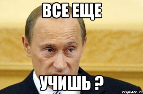 все еще учишь ?, Мем путин