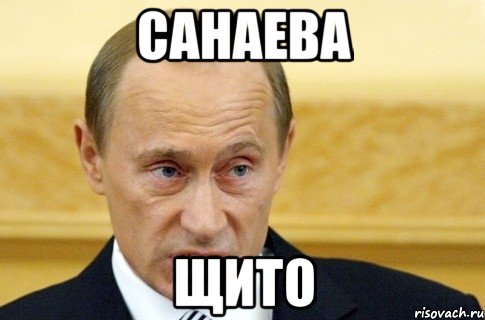 САНАЕВА ЩИТО, Мем путин