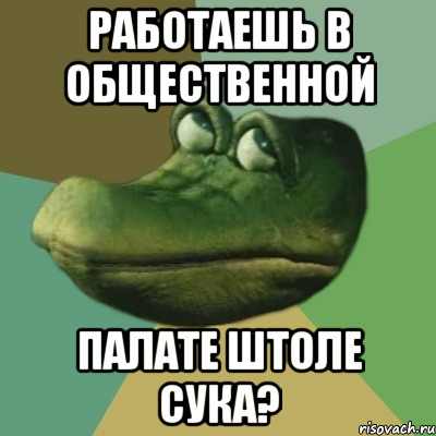 Работаешь в Общественной Палате штоле сука?, Мем  Ракодил