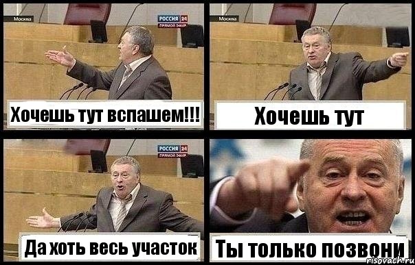 Хочешь тут вспашем!!! Хочешь тут Да хоть весь участок Ты только позвони, Комикс с Жириновским