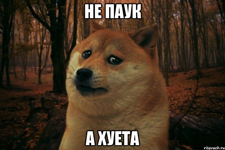 НЕ ПАУК А ХУЕТА, Мем SAD DOGE