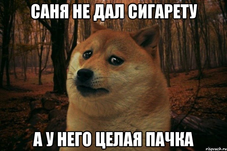 Саня не дал сигарету а у него целая пачка, Мем SAD DOGE